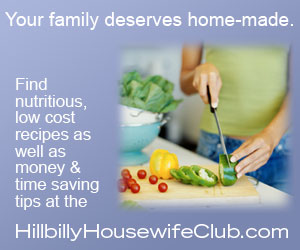 Hillilly Housewife Club