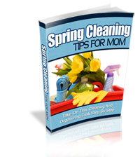 Spring Cleaning Guide