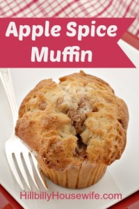 A yummy apple spice muffin.