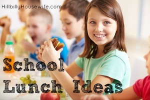 Ideas for packed school lunches