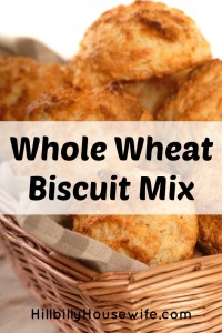 Fresh biscuits made from a whole wheat biscuit mix