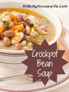 Bowl of Bean Soup From The Slowcooker