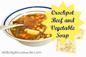 Beef and Vegetable Soup from the slow cooker