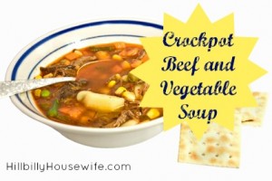 Beef and Vegetable Soup from the slow cooker