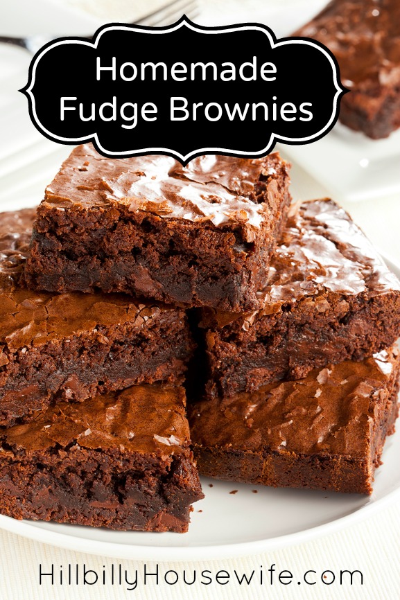 Fresh Homemade Chocolate Fudge Brownie 