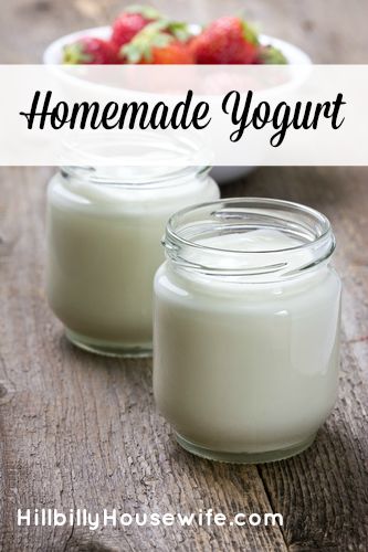 Jars of homemade  yogurt