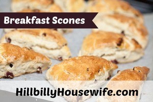  Freshly baked cranberry scones on baking tray