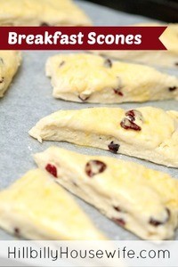  Fresh homemade cranberry scones ready for the oven