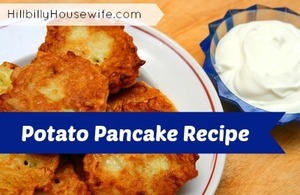 potato pancakes on plate with sour cream