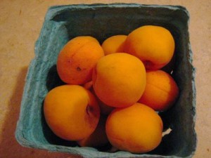 Apricots