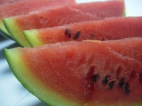 watermelon1