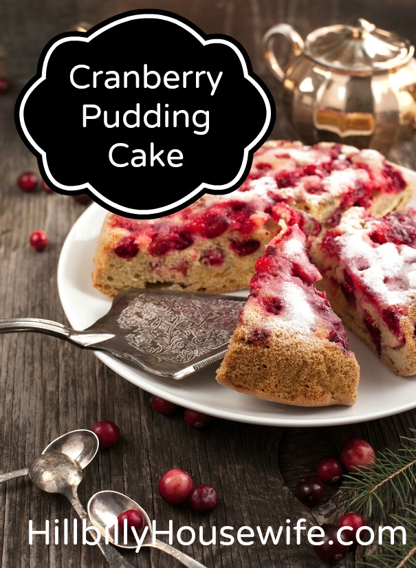 Cranberry Pudding Cake 