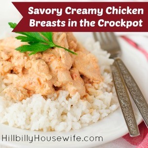 Creamy Crockpot Chicken on Rice