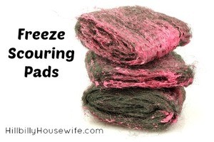 Freeze Scouring Pads between uses to keep the from rusting. 