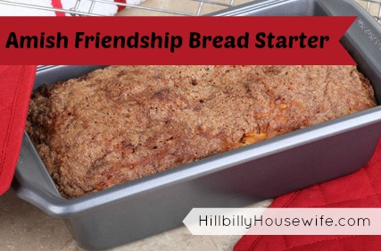 Loaf of Yummy Friendship Bread