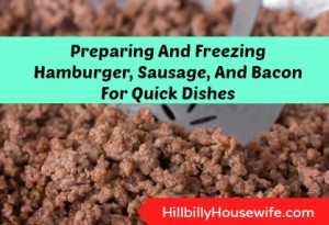 Preparing and Freezing Ground Beef