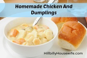 A bowl of homemade chicken and dumplings