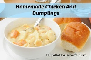 A bowl of homemade chicken and dumplings