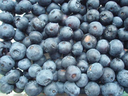 Blueberries