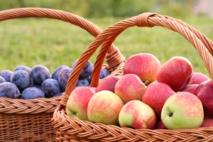 Baskets of Apples and Plums