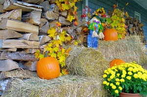 Fall Decorations