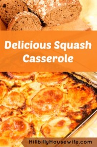 Yummy Yellow Squash Casserole