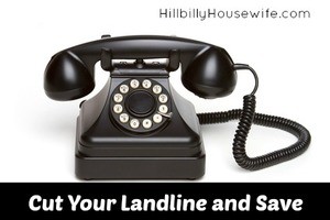 Cut Your Landline and Save