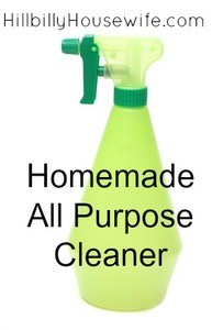 A simple recipe for a homemade all purpose cleaner