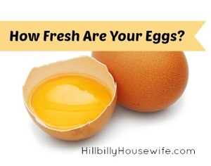How Fresh Are Your Eggs?