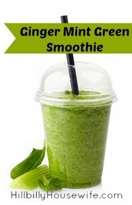 Glass of healthy green vegetable smoothie with mint and ginger