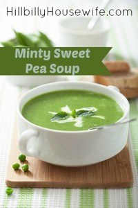 Pea soup with mint