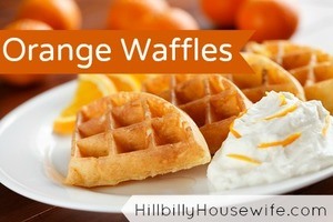 Waffles made with Orange Juice 