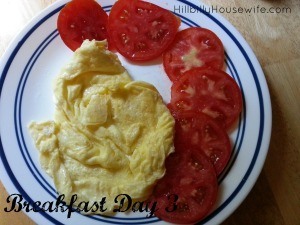 Scrambled Egg and Tomato