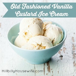 Old Fashioned Vanilla Ice Cream