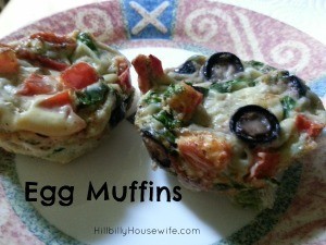 Egg Muffins