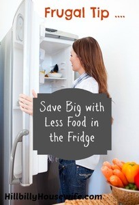 Frugal Tip - Keep Less Food In Your Fridge