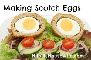 Two half scotch eggs and salad