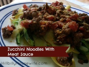 Zucchini and Squash Noodles with Sauce