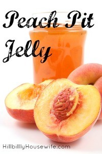 Homemade Peach Pit Jelly 