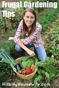 Woman knelt in vegetable garden