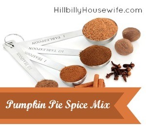 Homemade Pumpkin PIe Spice Mix