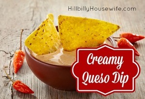 Bowl of  queso dip and nachos 