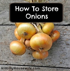 Best way to store onions