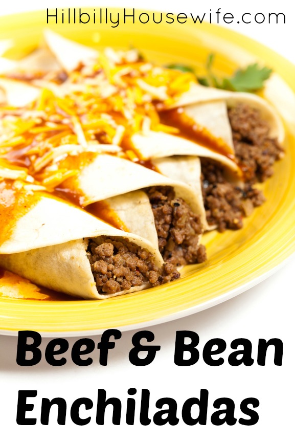 Plate of Bean and Beef Enchiladas