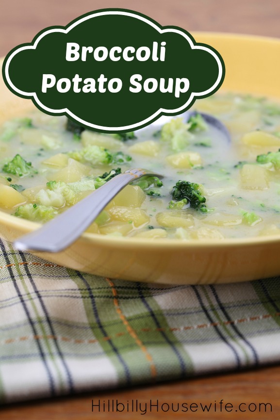 Broccoli and Potato Soup - Great For Freezer Cooking