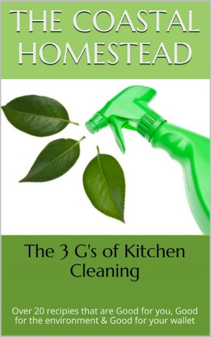 The 3 G's Of Kitchen Cleaning 