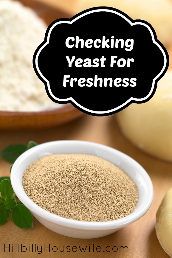 Simple test to see how fresh your yeast is. 