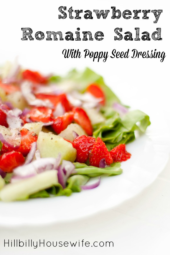 Strawberry Romaine Salad with Poppy Seed Dressing 