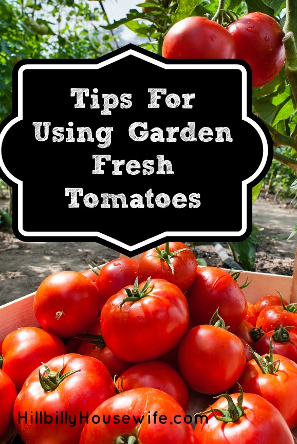 Tips for Using and Storing Tomatoes