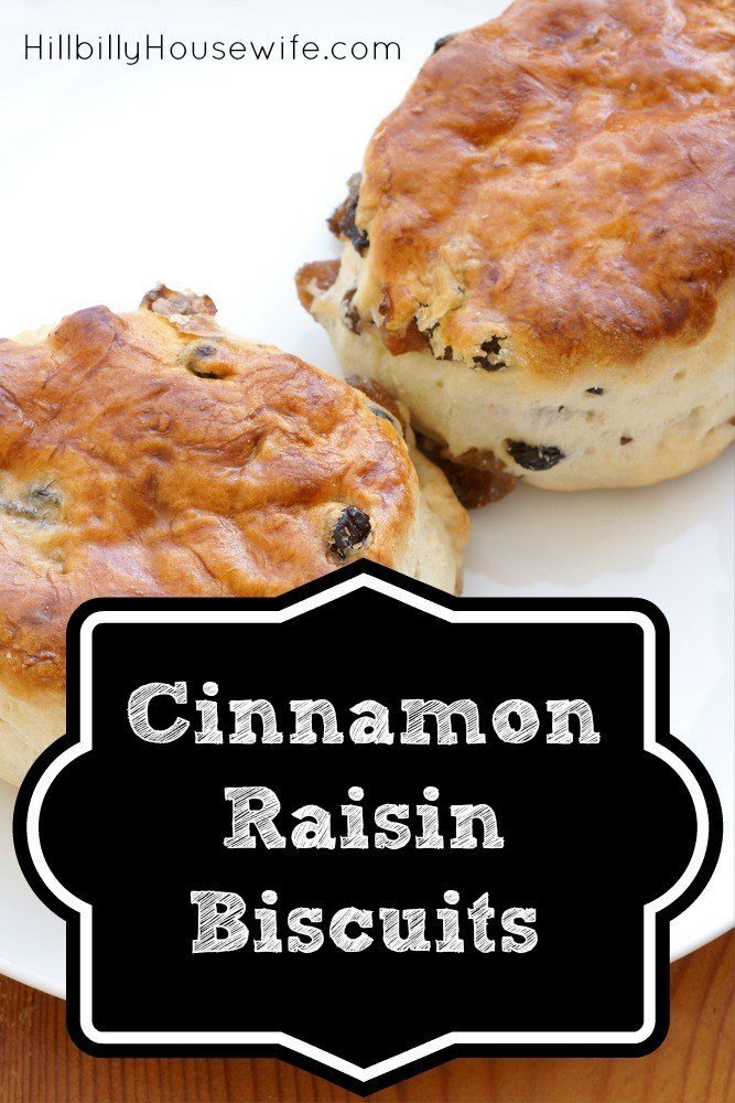 Yummy biscuits or scones made with cinnamon and raisins and drizzled with frosting.